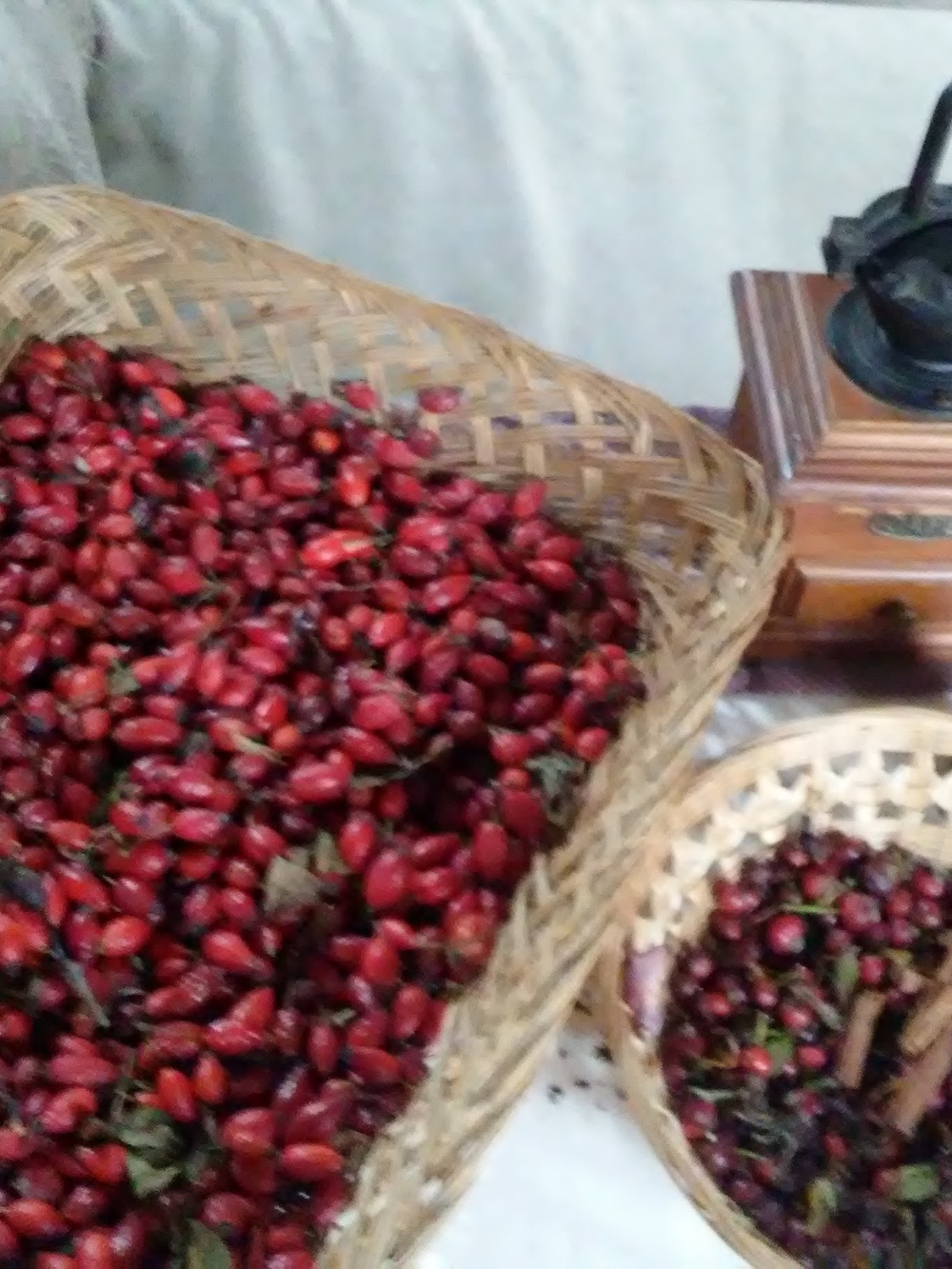 Damask Rose Hips Dried Herb